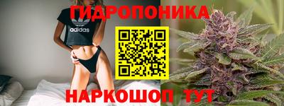 spice Кинель