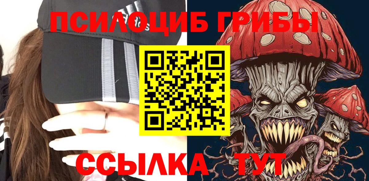 Моршанск  Галлюциногенные грибы мухоморы  Вход с VPN 